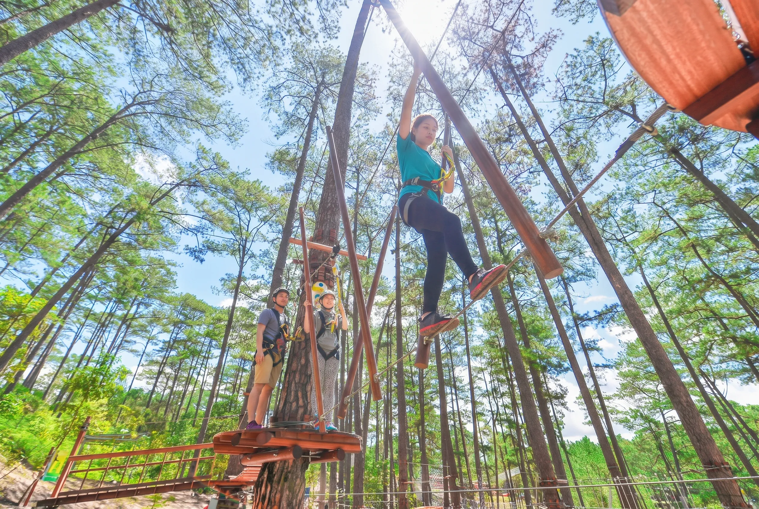 A woman in a harness stepping along a wooden beam high between pine trees on the Datanla High Rope Course, two guests waiting on a platform
